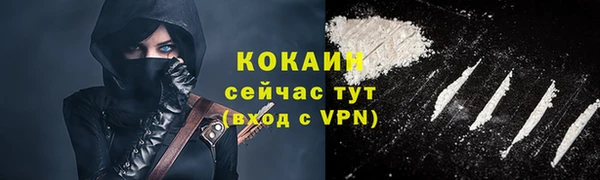 прущие грибы Нефтекумск