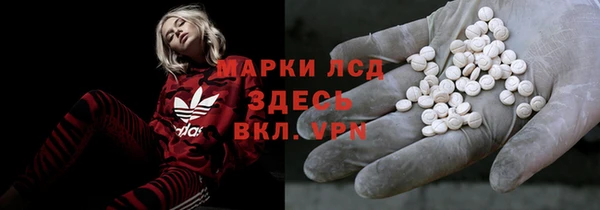 прущие грибы Нефтекумск