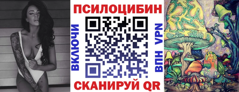 Псилоцибиновые грибы мицелий  наркошоп  Кувшиново 