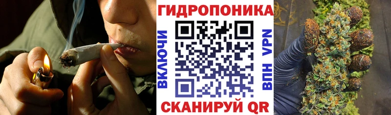 Канабис сатива Кувшиново